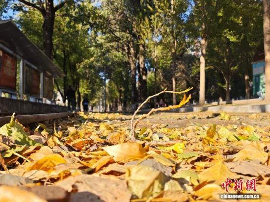 �S��54·��܉�܇�ؾ��h(hu��n)���������Σ���߅�Lò�����������S���~䁝M·�������� ���z