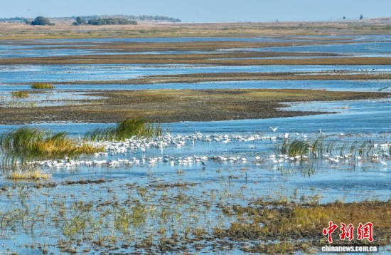 10��16��������ĪĪ����Ҽ���Ȼ���o(h��)�^(q��)��(n��i)�������ڑ�ˮ��(�o�˙C(j��)��Ƭ)�w��� �z