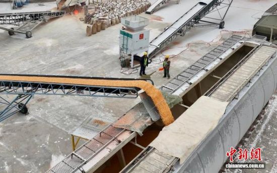 11��8����ɢ�Z��������ԭ�Z�쌣�þ����b܇���I(y��)�������� �z