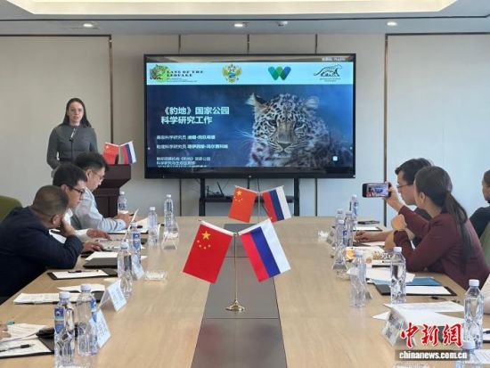 ���_˹���ҷ������o(h��)�|������(j��ng)�(y��n)�������� �z