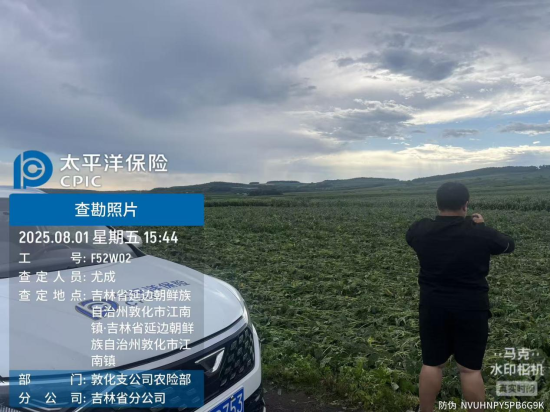 中國太保產險吉林省分公司/供圖 中國太保產險吉林省分公司/供圖