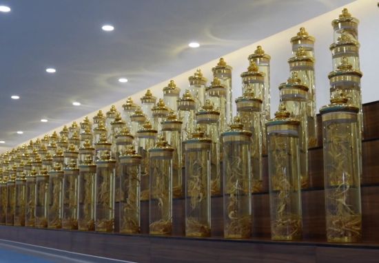 安圖縣委宣傳部/供圖 安圖縣委宣傳部/供圖