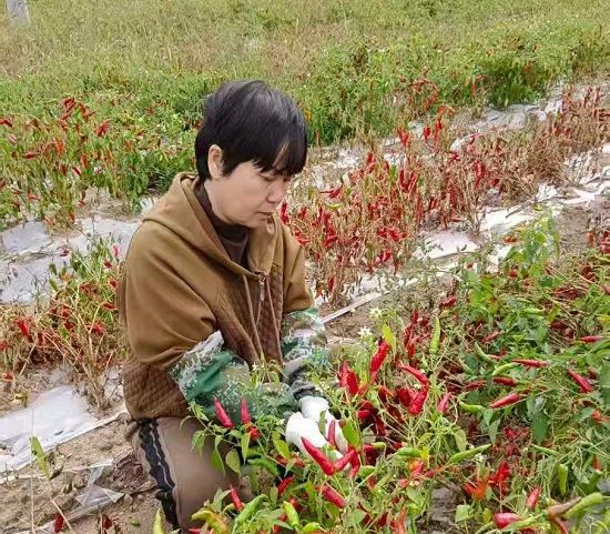 ͥԺ��(j��ng)��(j��)�Nֲ