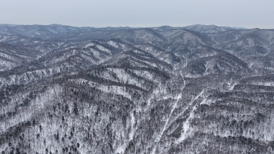 ���AƤ���(zh��n)ĵ���X�� �������ý�w���Ĺ��D