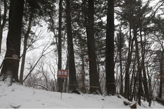 �ķ��������ڵ��� �������ý�w���Ĺ��D