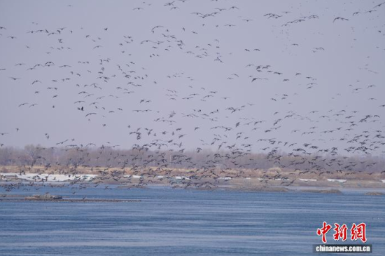 �B��^�������Ժ��������� �z