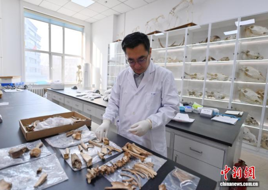 3��20���������L�����̴�������ӱ��������� �z