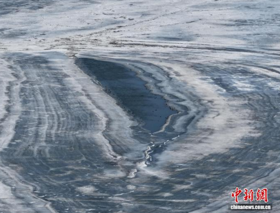 3��16���������(zh��n)�l�������������������BͣЪҒʳ���������� �z