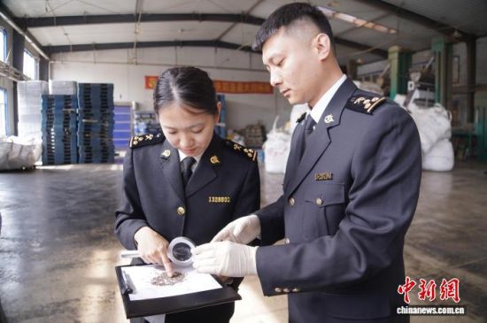 �L��ɽ���P(gu��n)�P(gu��n)�T�_չ�����K�Ѳ��(y��n)���L�����P(gu��n)���D