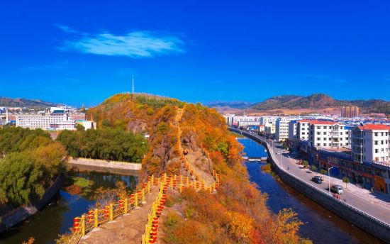 ���D�h���A(ch��)�śr